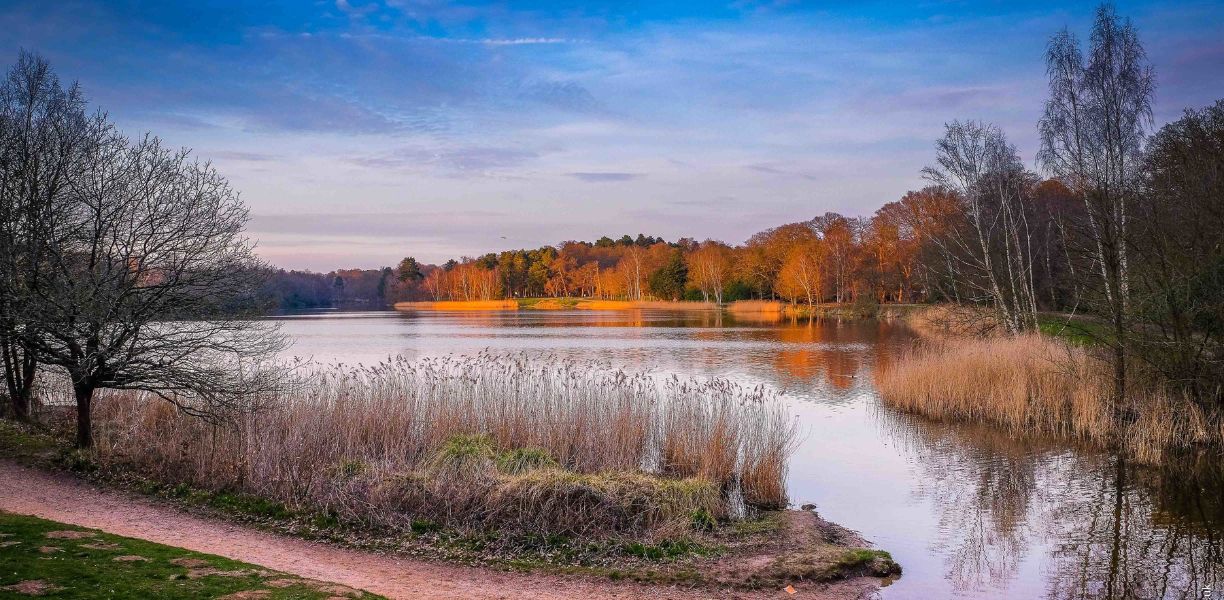 Windsor Great Park Virginia Lake